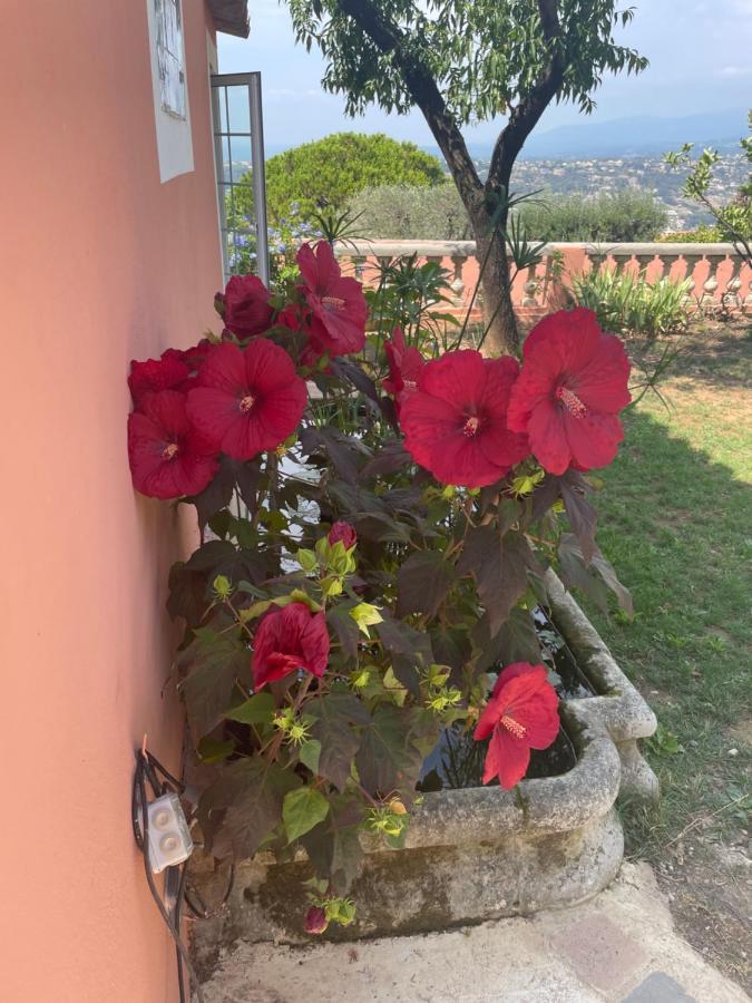 Chambre D'Hotes A L'Ancre Marine De La Villa Rose Nice Exterior photo
